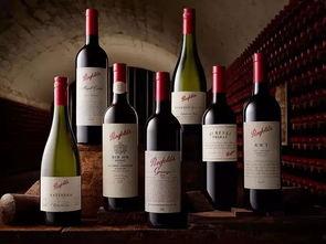 葡萄酒最新爆料文案短句,独家爆料，品味非凡！  第3张