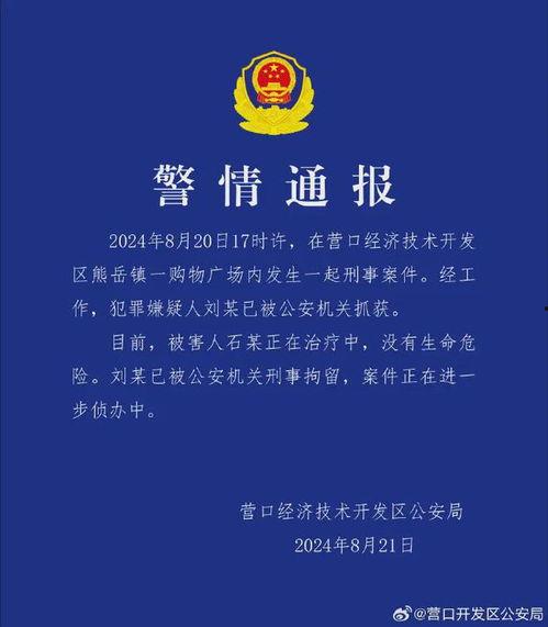 营口最新爆料消息,揭秘神秘事件背后的真相  第3张