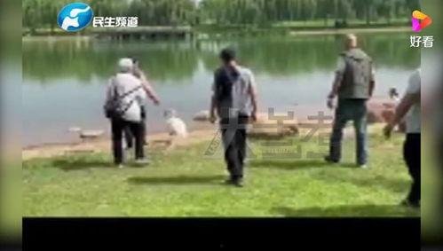 郑州七中爆料事件视频最新,真相与争议交织的教育漩涡  第3张