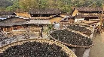 郑州保合寨爆料案件最新,真相揭开，疑云散去  第2张